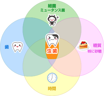 虫歯について